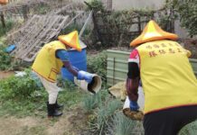 小犬颱風過境後落實環境整頓清除積水 避免病媒蚊孳生