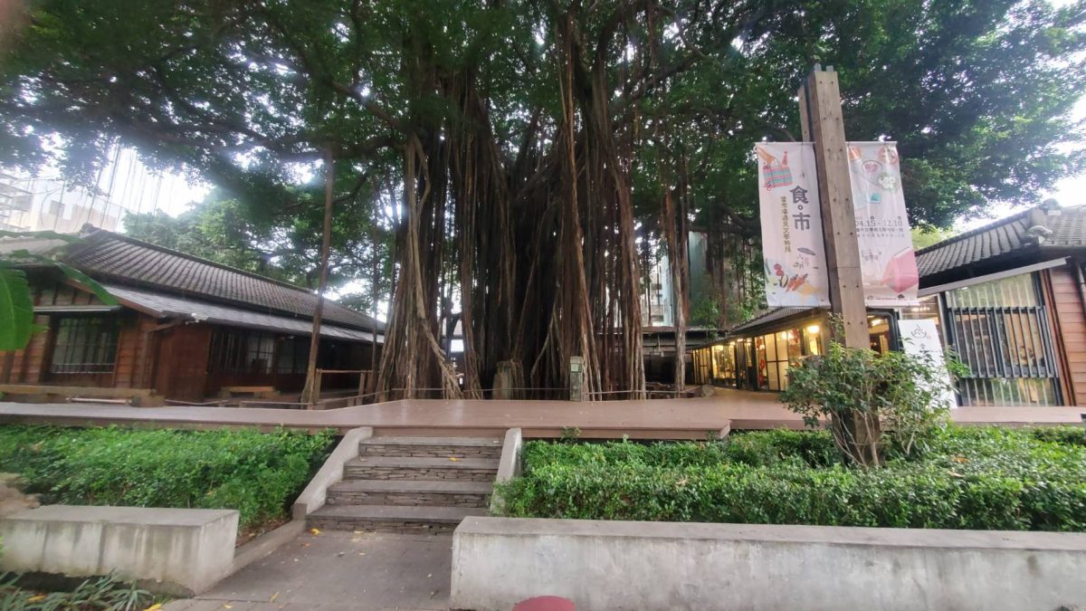 副刊/日常——在臺中文學館當志工 0901常設二館隔著老榕樹與幸卉咖啡館遙望 0 scaled