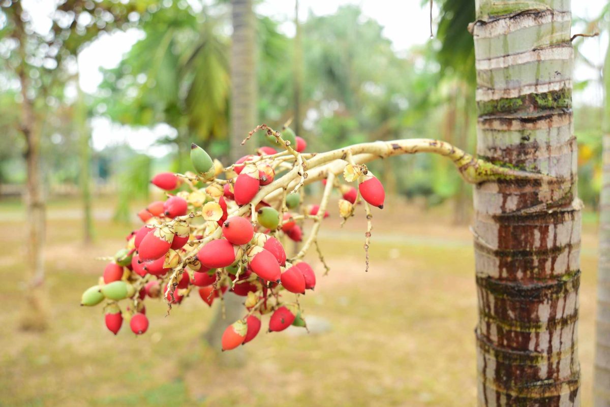 副刊/密室修練的必備法器
