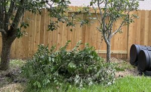 副刊／清理院子