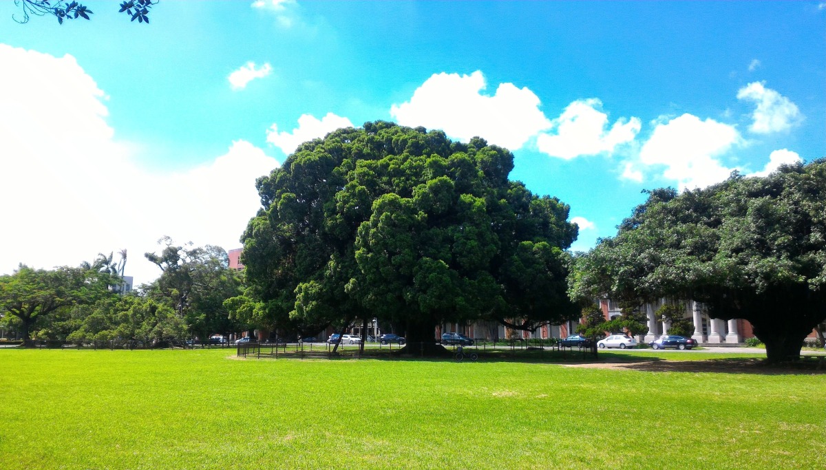 副刊/真的有所謂名校光環嗎?一路讀名校的我,對這件事情的看法