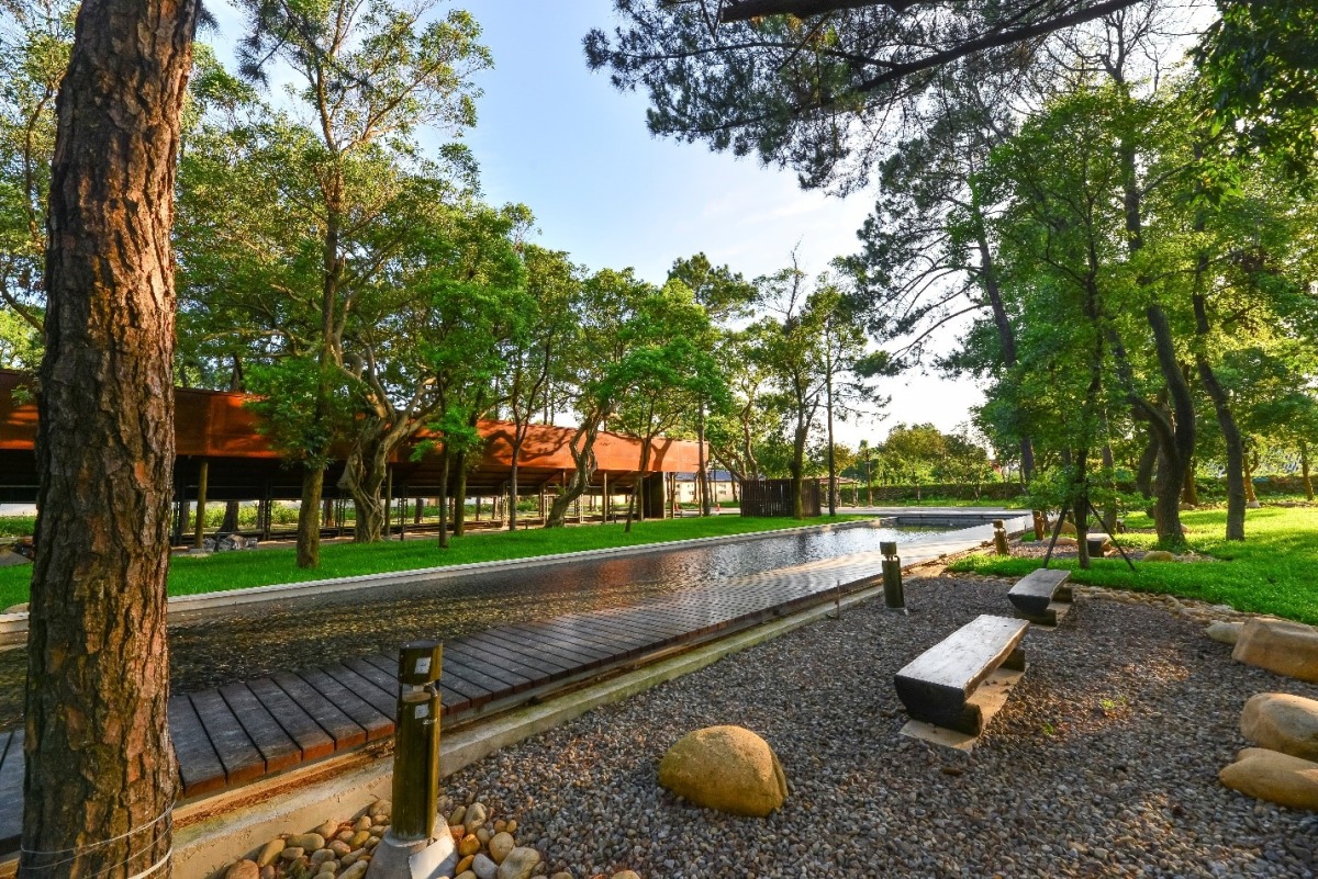 大湳森林公園兼具生態棲地防災治洪休憩 獲公共工程金品獎優等