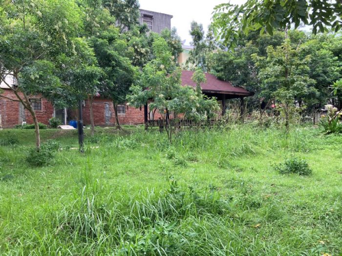 平鎮山子頂坤慶二街旁公園維護品質不佳 市府籲坤慶公司儘速換約