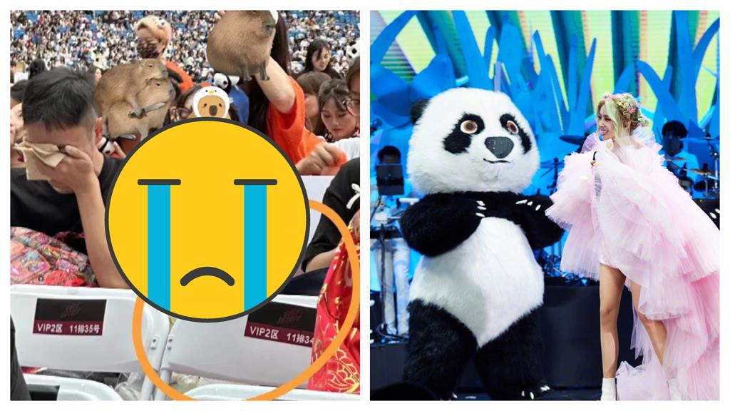 蔡依林演唱會驚見「遺照」背後故事曝光全網哭爛