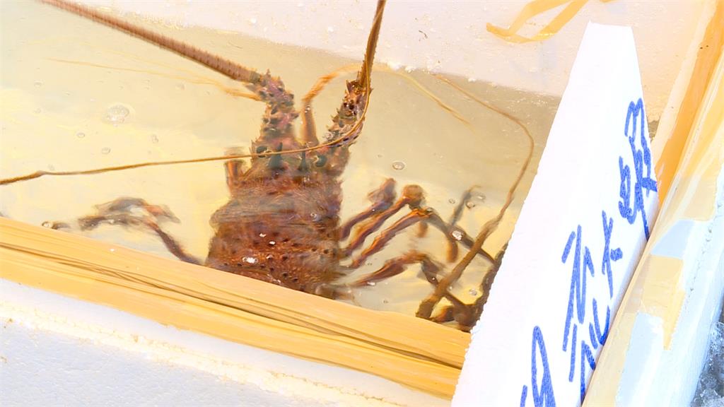 烤肉食材貴森森！ 魷魚、透抽漲4成 豬肉貴1成