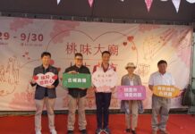 「桃味大廟 人生大市」熱鬧登場 品味古城在地文化