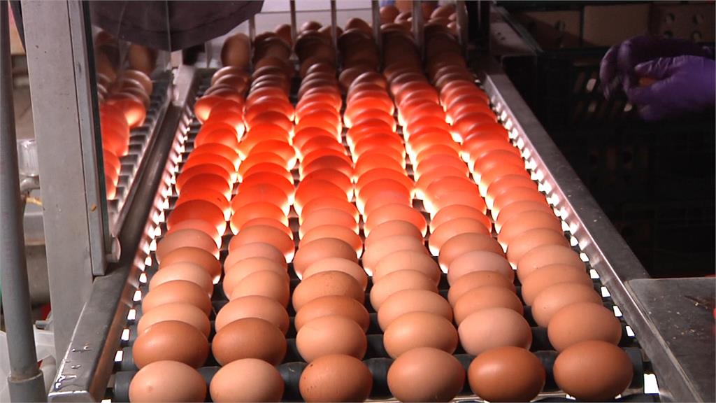 8縣市營養午餐全面禁液蛋 團膳業者批:矯枉過正