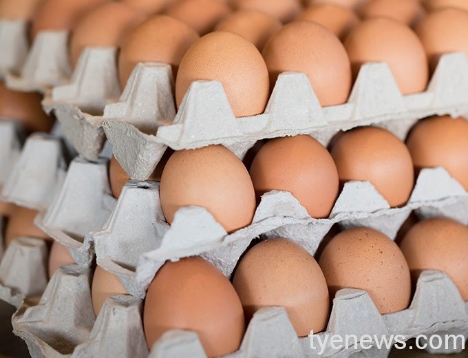 進口蛋爆食安疑慮 食藥署、農業部聯合輔導洗選業者