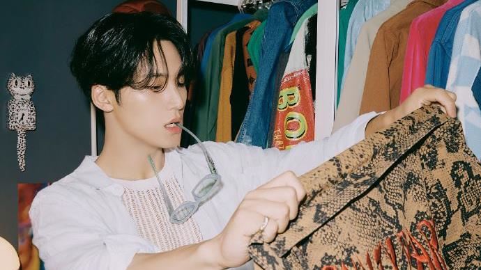 SEVENTEEN傷員再+1…今年3人暫停活動粉不捨