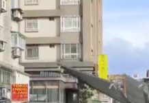 【有片】中颱「小犬」變猛獸 大溪警衛室鐵皮屋頂被吹走