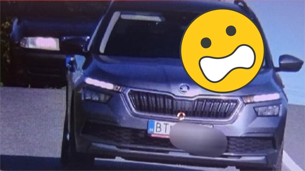 狗狗開車「超速行駛」全被拍!警方傻眼:牠還在笑