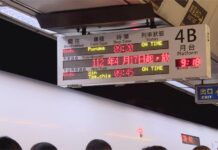 「狂犬」擾台! 部分列車停駛 外國遊客:好掃興