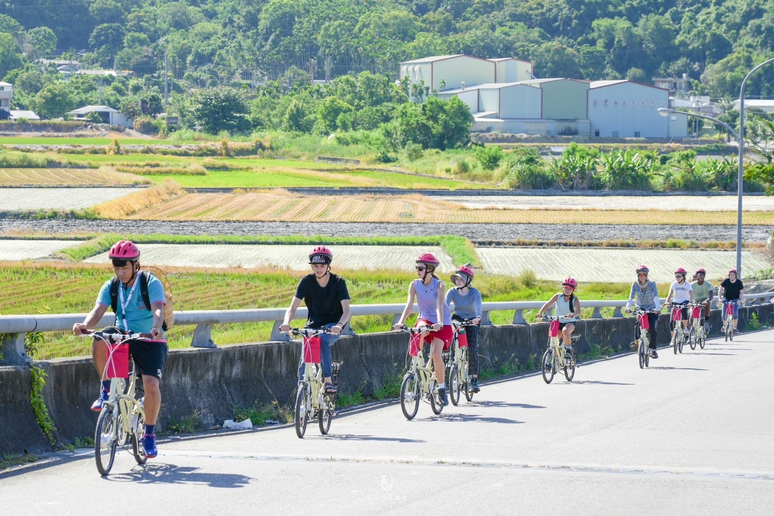 「騎進稻鎮」共享田園風光 玉溪地區農會邀您徜徉 S 99270664 0
