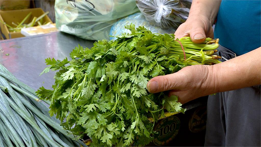 「小犬」颱風逼近 菜價平均漲逾16% 胡瓜漲幅近5成