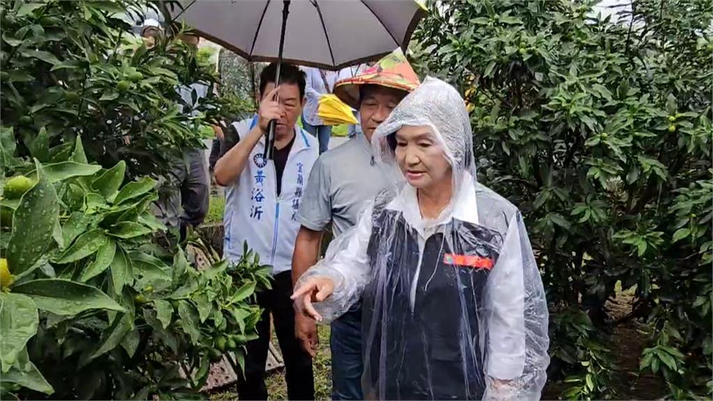 「小犬」颱風來襲菜價居高不下 小白菜漲幅142%