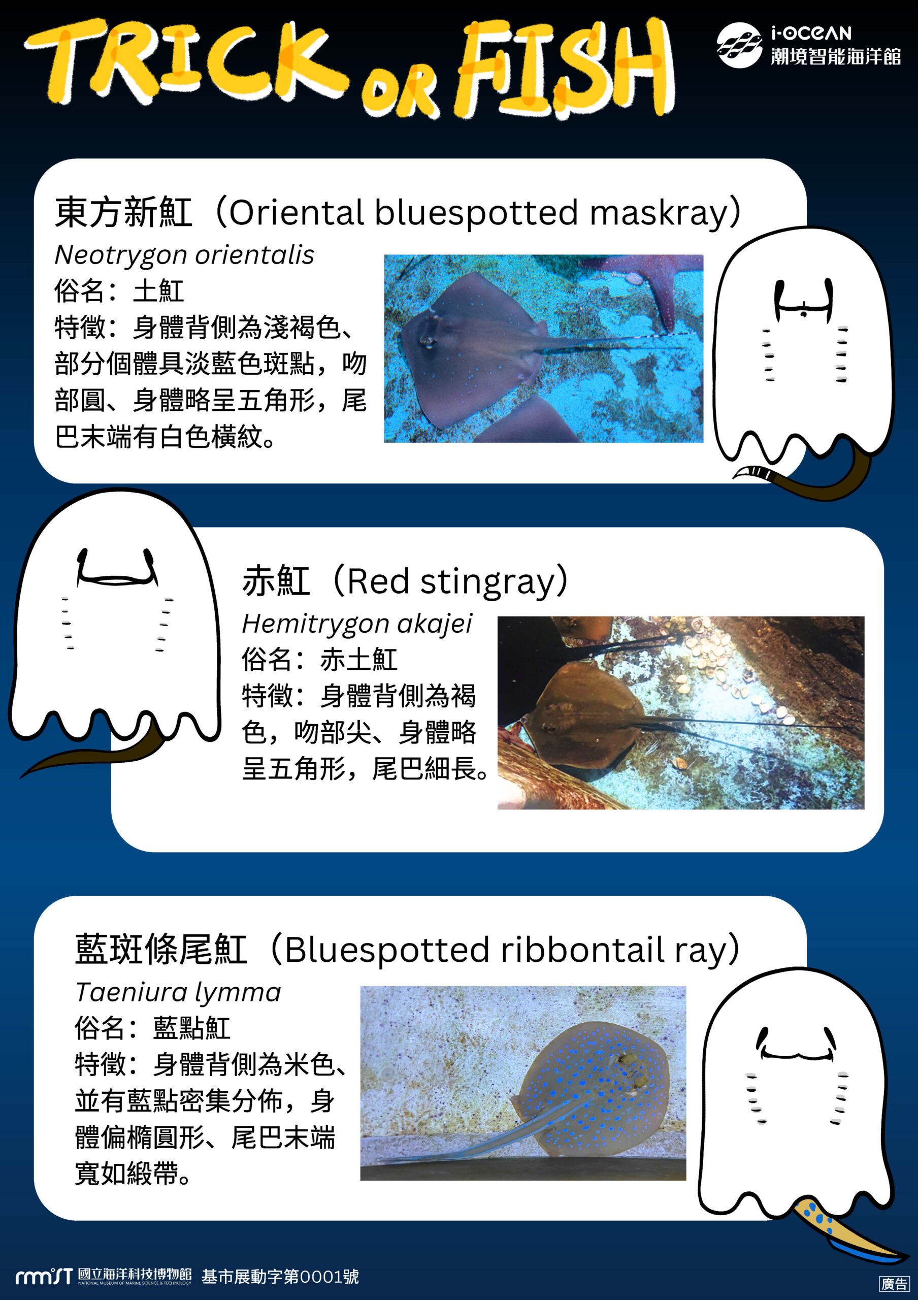 寓教於樂!萬聖節到海科館搞怪 認識「天生自帶鬼臉」的生物 萬聖節海報 展板 頁面 3 scaled