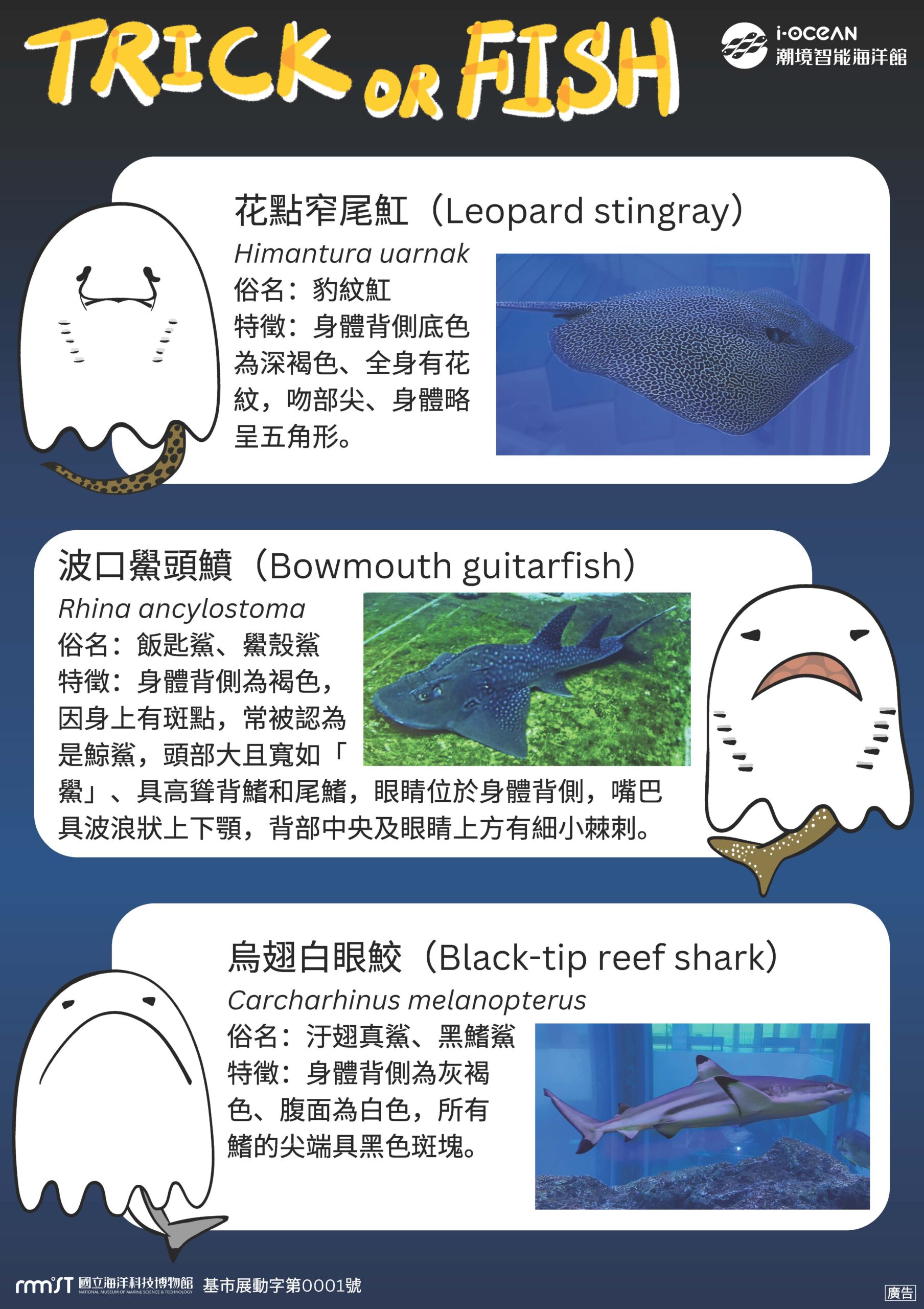 寓教於樂!萬聖節到海科館搞怪 認識「天生自帶鬼臉」的生物 萬聖節海報 展板 頁面 4 scaled