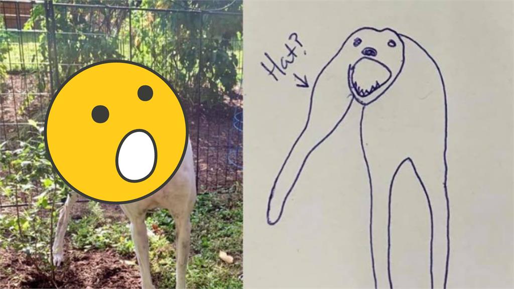 插畫家「異形狗塗鴉」暴紅 本尊嚇壞網:寫實派!