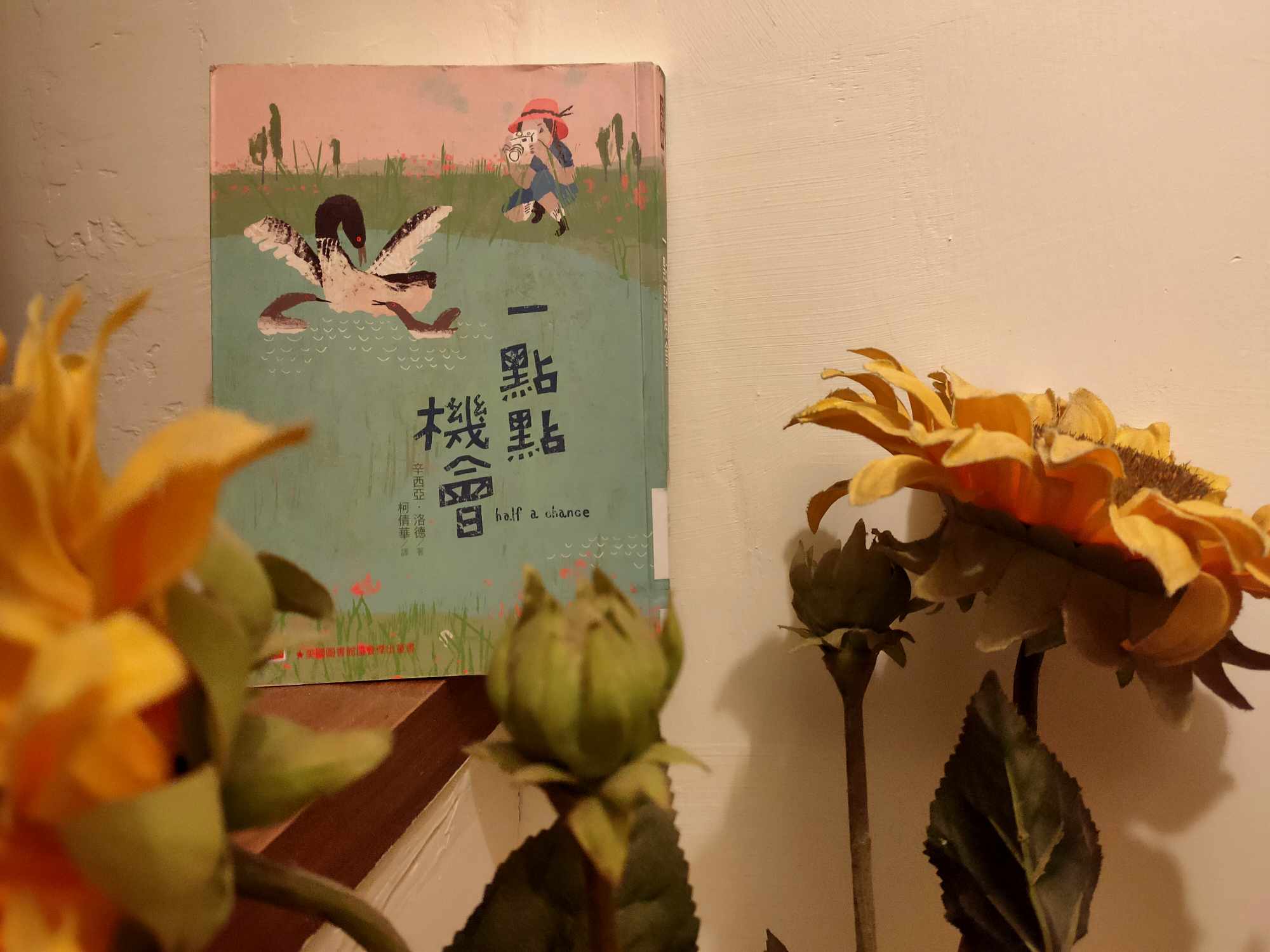 副刊/握住 ――《一點點機會》 1121書封面