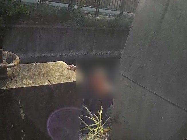 男與妻吵架後失聯 平警地毯式搜索尋人 255866 0