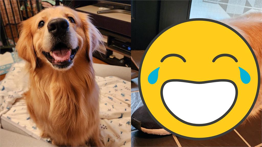 幸好主人不是野原廣志…阿金「抱鞋狂吸」超享受