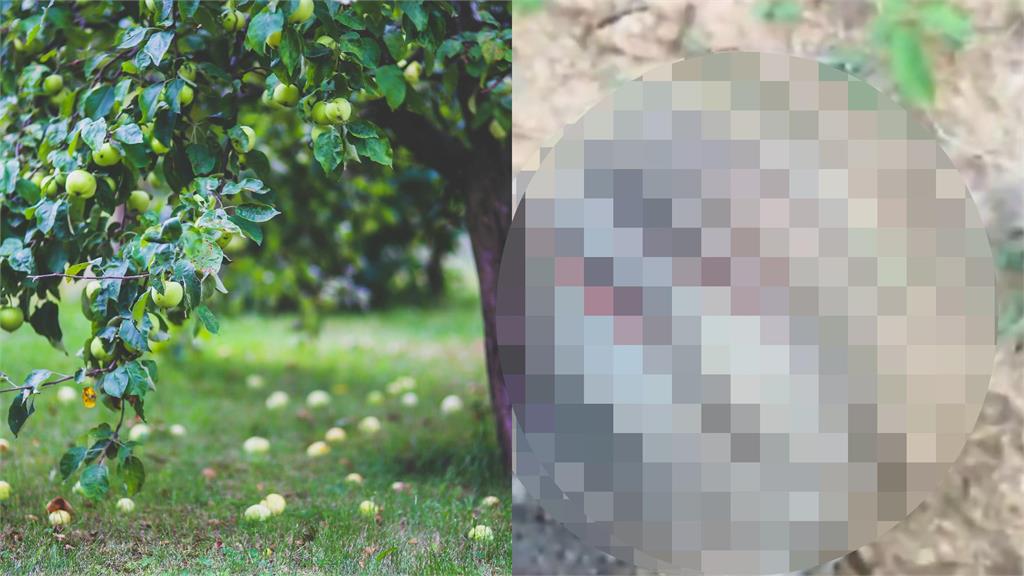 酷拉皮卡是你?果農誤捕「紅眼怪」內行一看驚了