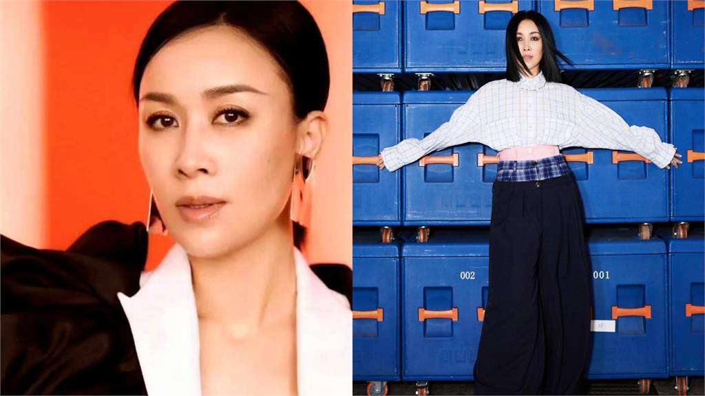 那英力拚復出「現蹤這節目」 網哀號:能不能別來