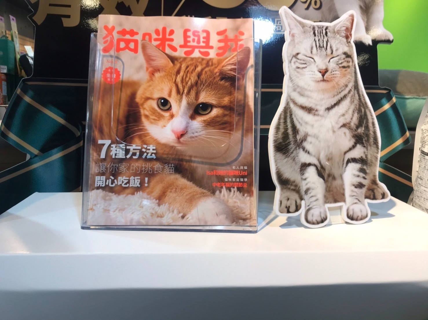 貓主子挑食該怎麼辦?《貓咪與我》讓你家貓咪開心吃飯! S 11485254
