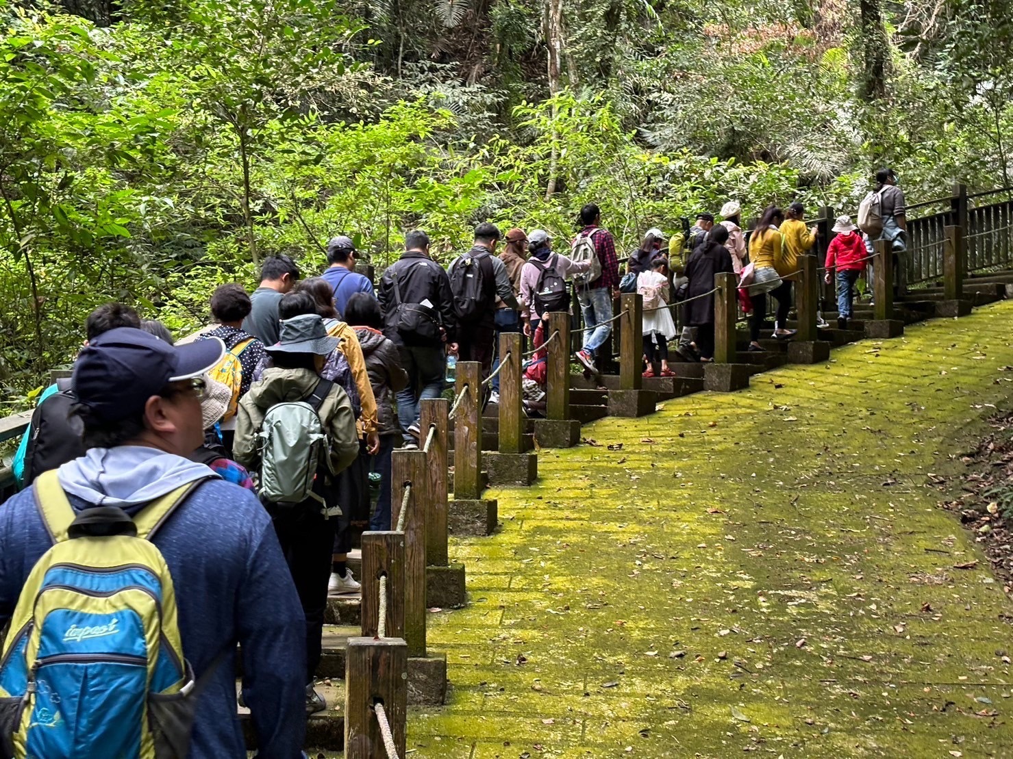 搭乘獅山線遊竹縣 穿越時光感受古道之美 獅山走讀古道 DIY植物拓染 S 11943980 0