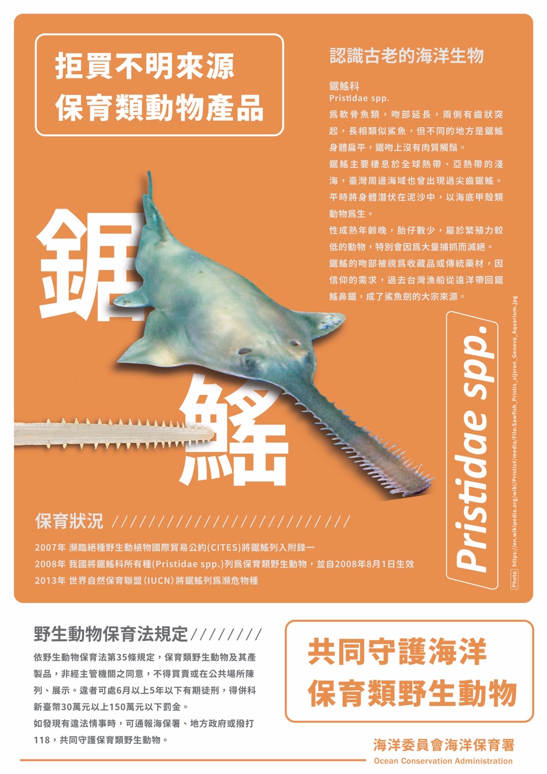 海保署:買賣「鯊魚劍」 最重可關5年、罰150萬 S 18219101