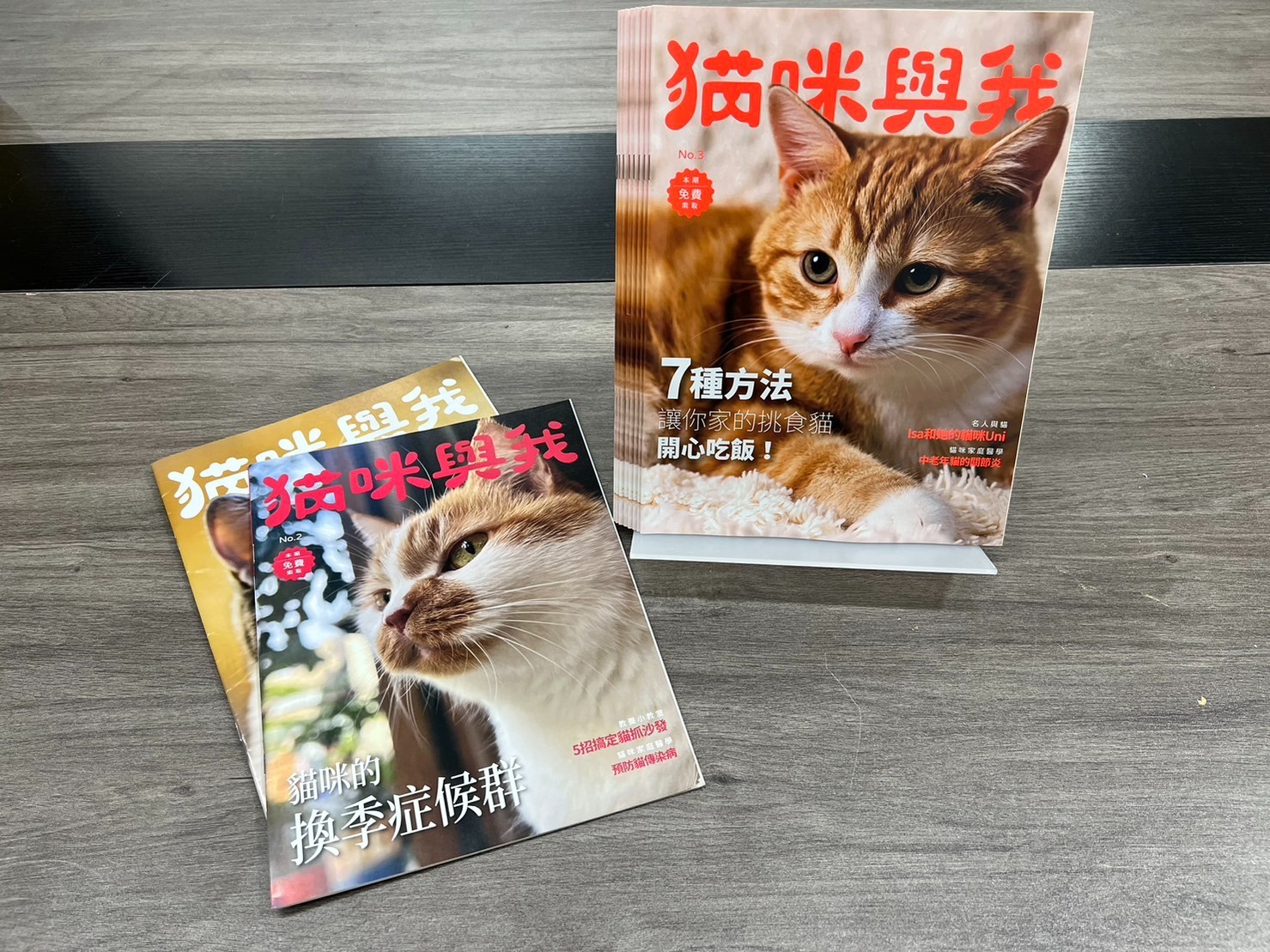 貓主子挑食該怎麼辦?《貓咪與我》讓你家貓咪開心吃飯! S 80150609 0