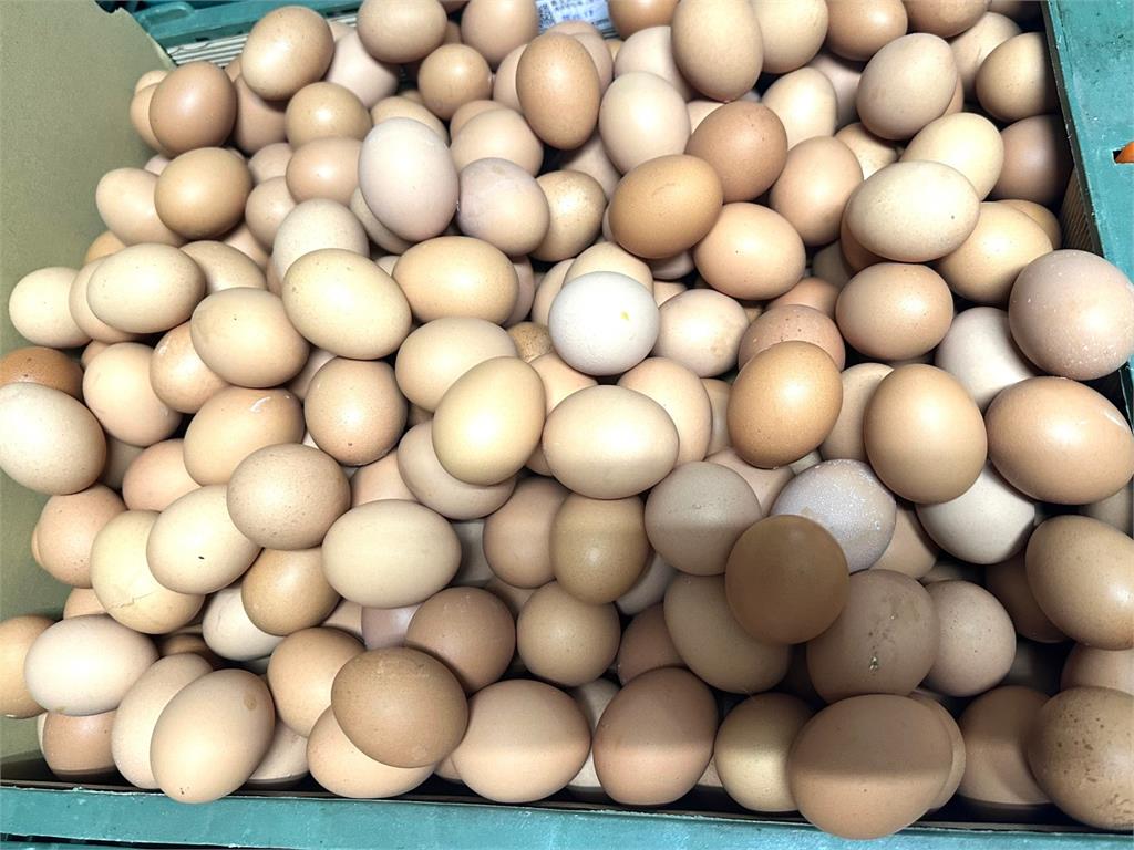 國產雞蛋供給漸穩定 周四起產地價調降2元