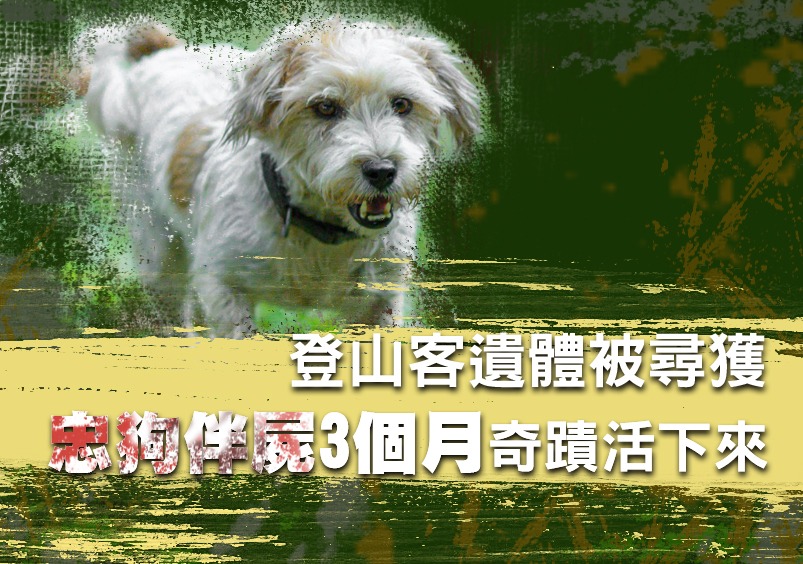 登山客遺體被尋獲 忠狗伴屍3個月奇蹟活下來 登山客遺體被尋獲 忠狗伴屍3個月奇蹟活下來