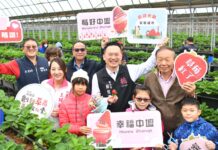 中壢草莓季今明2日盛大登場 打卡送冰淇淋