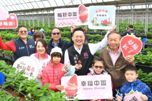 中壢草莓季今明2日盛大登場 打卡送冰淇淋
