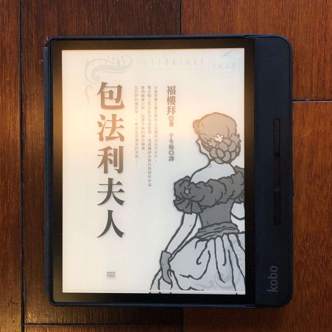 副刊 / 一廂情願的極致是毀滅——《包法利夫人》 1209副刊包法利夫人書封