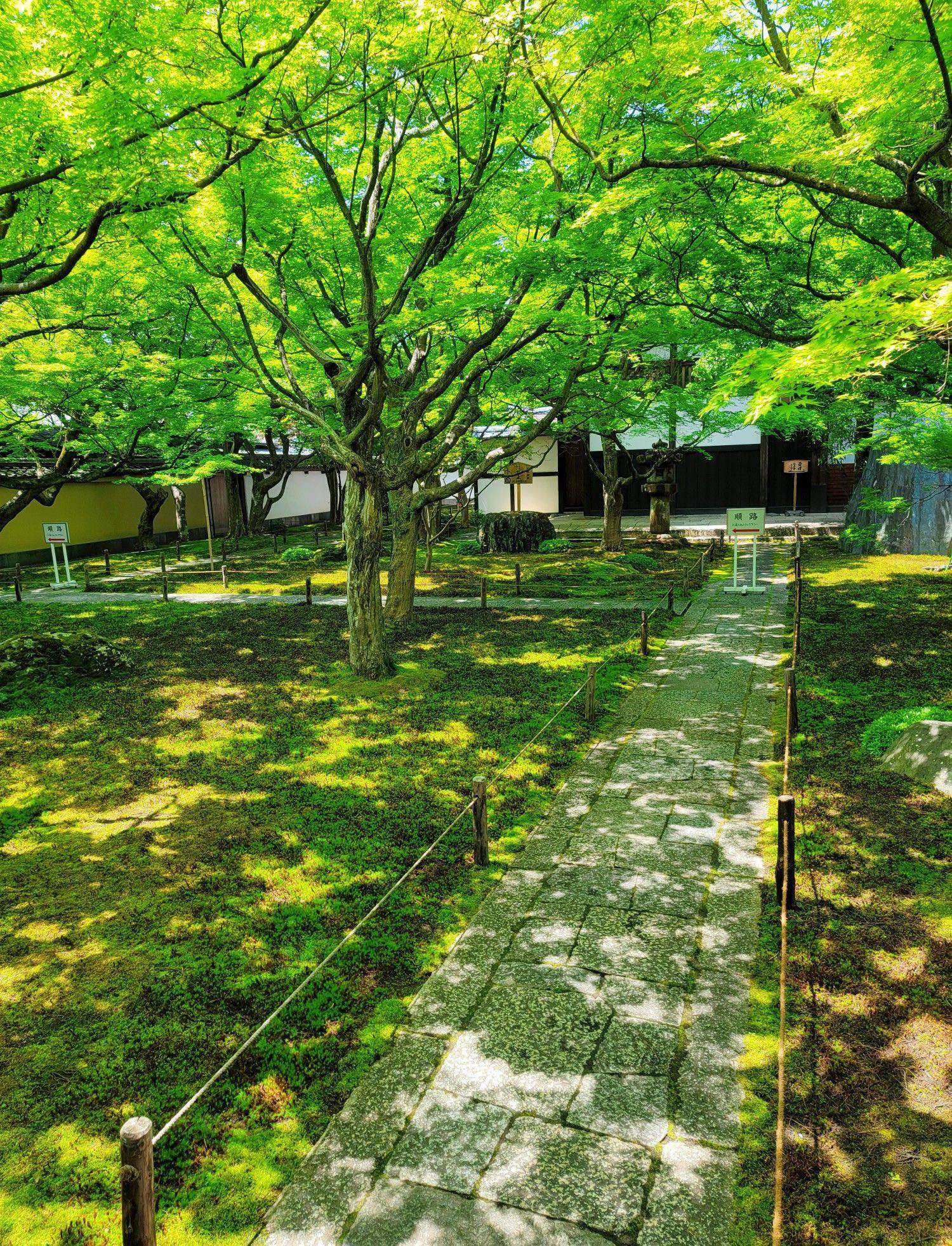 副刊/與千利休庭園的初遇——記「直中庭」 1219副刊相片一