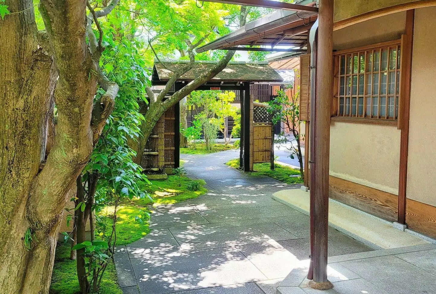 副刊/與千利休庭園的初遇——記「直中庭」 副刊/與千利休庭園的初遇——記「直中庭」