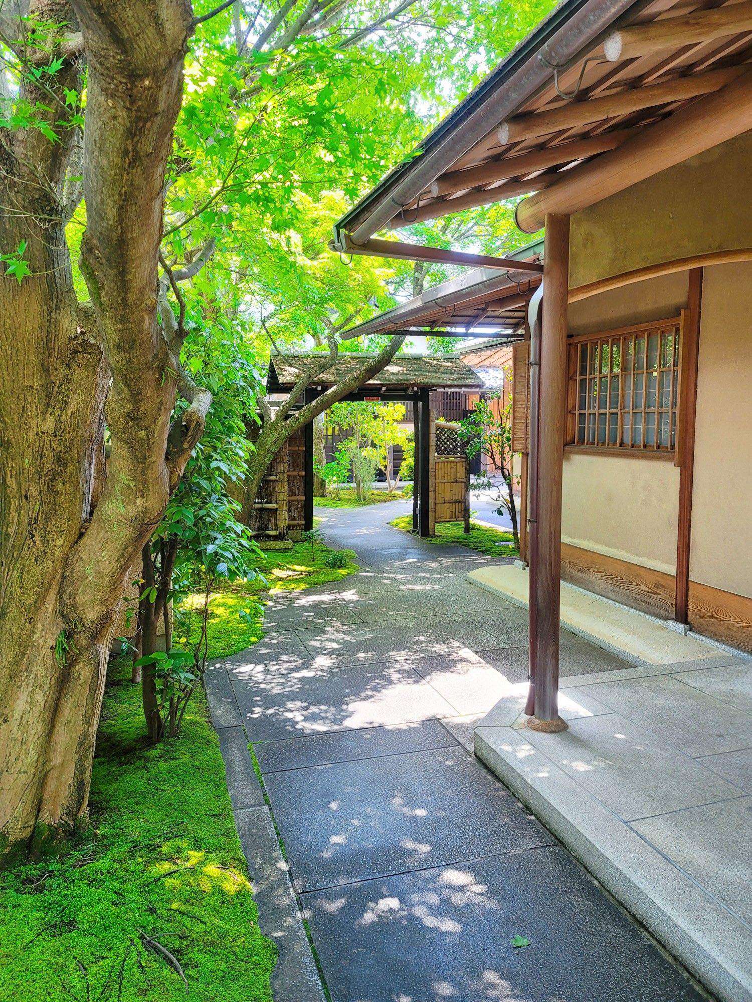 副刊/與千利休庭園的初遇——記「直中庭」 1219副刊相片二