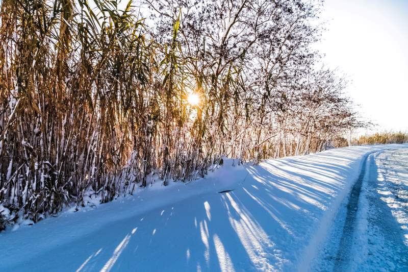 「追雪必勝懶人包」悠遊追雪必看攻略！