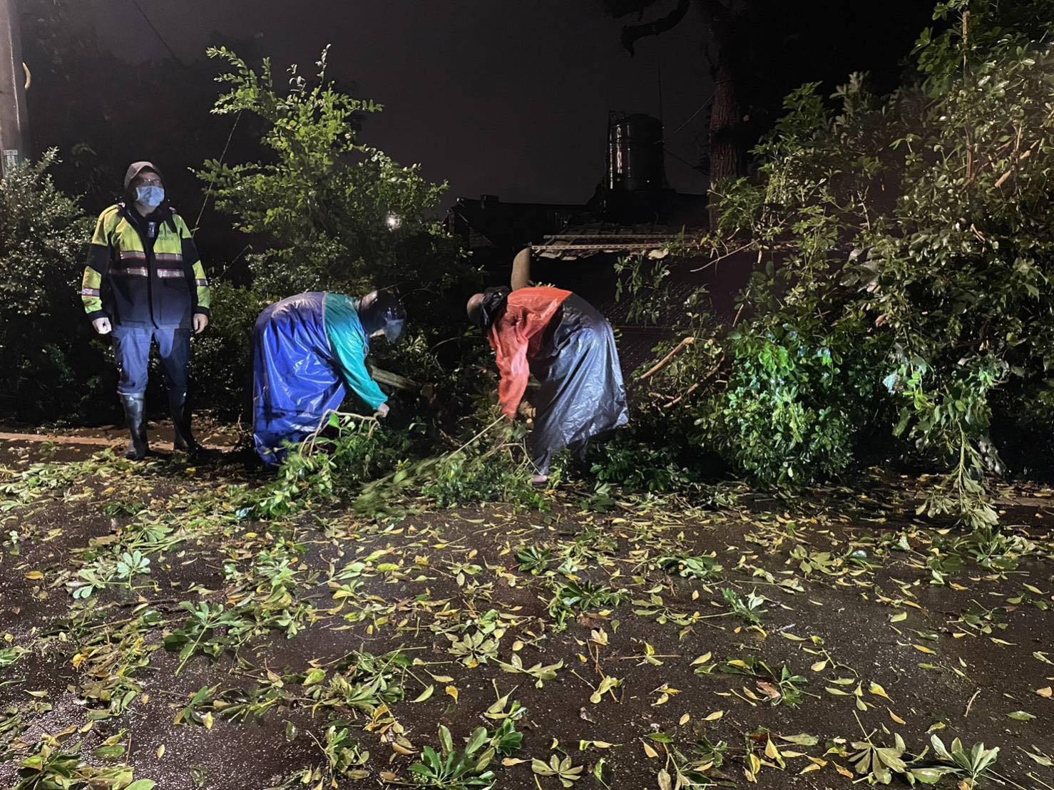 路樹不敵大雨倒路中 大園警及時處理恢復交通 326248 0