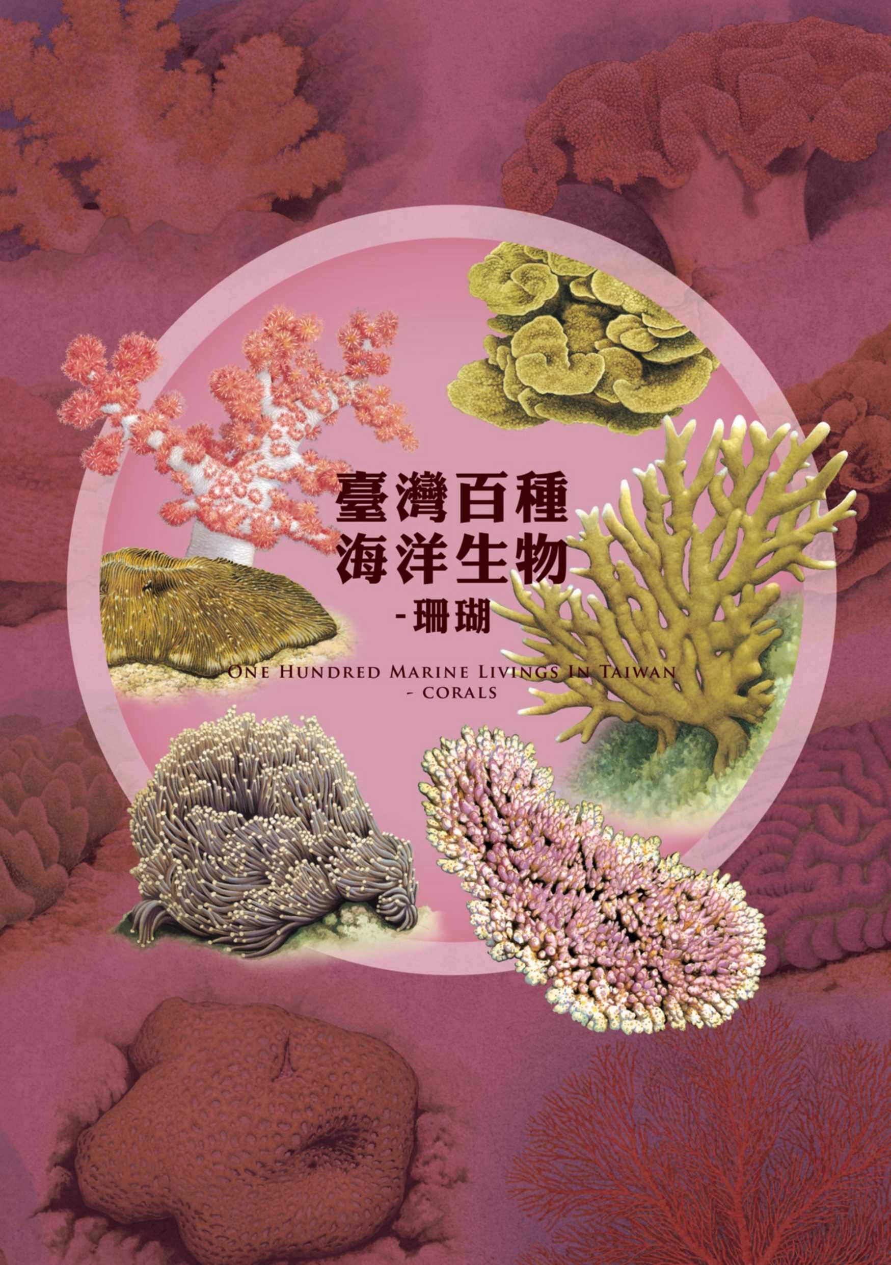 海保署出版海洋生物圖鑑 邀讀者關注珊瑚白化危機 505E94B7 D6B7 40F2 AE04 BD8043F43ADD