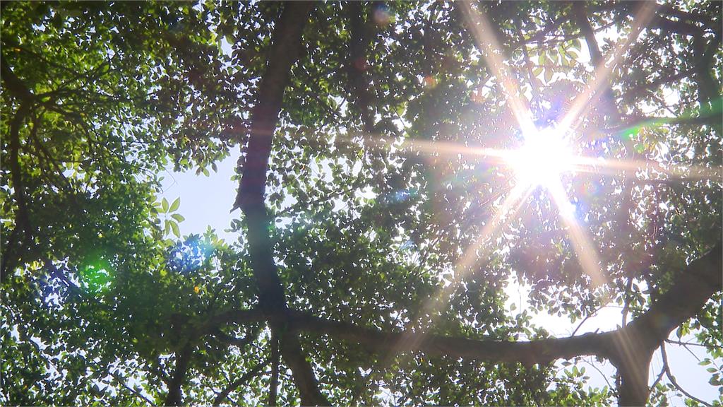 周末全台變天 2地區「濕冷近1周」