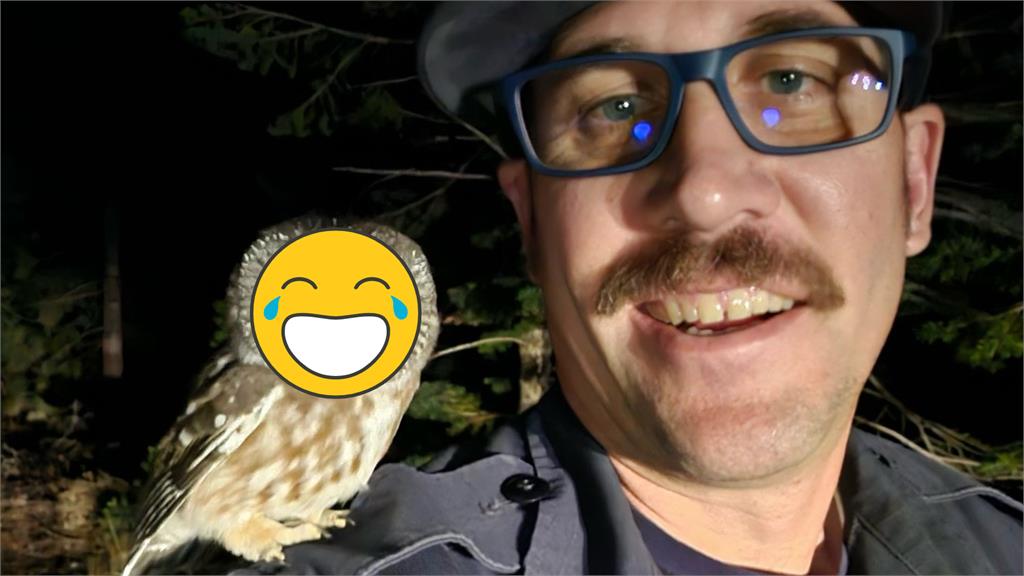 貓頭鷹「呆坐路上」被誤當落石!牠跳警肩上一起自拍全網融化