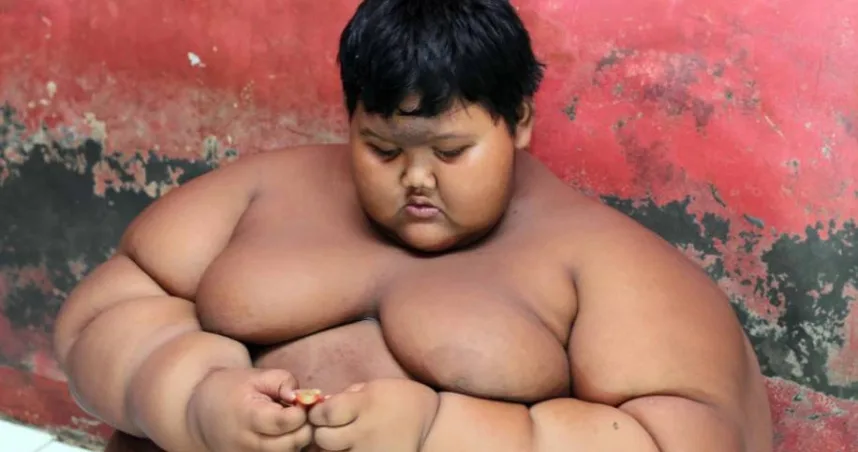 胖妹胖弟看過來!醫師教你逆轉代謝症候群 過5成圓圓有改善 胖妹胖弟看過來!醫師教你逆轉代謝症候群 過5成圓圓有改善