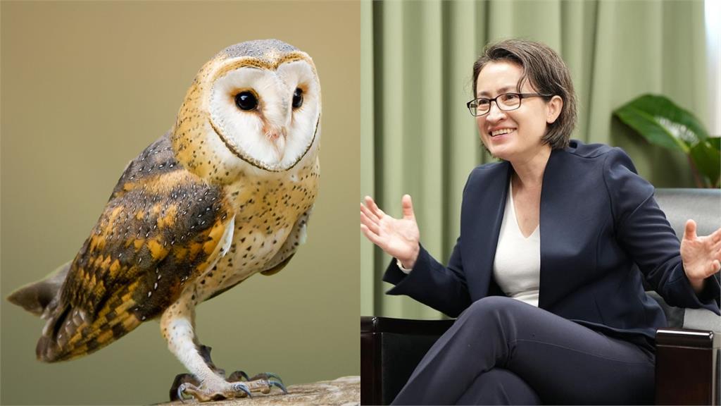 「鴞美禽」動物介紹片偷臭猴馬豬!高級黑「釣到本尊」萬網笑岔氣