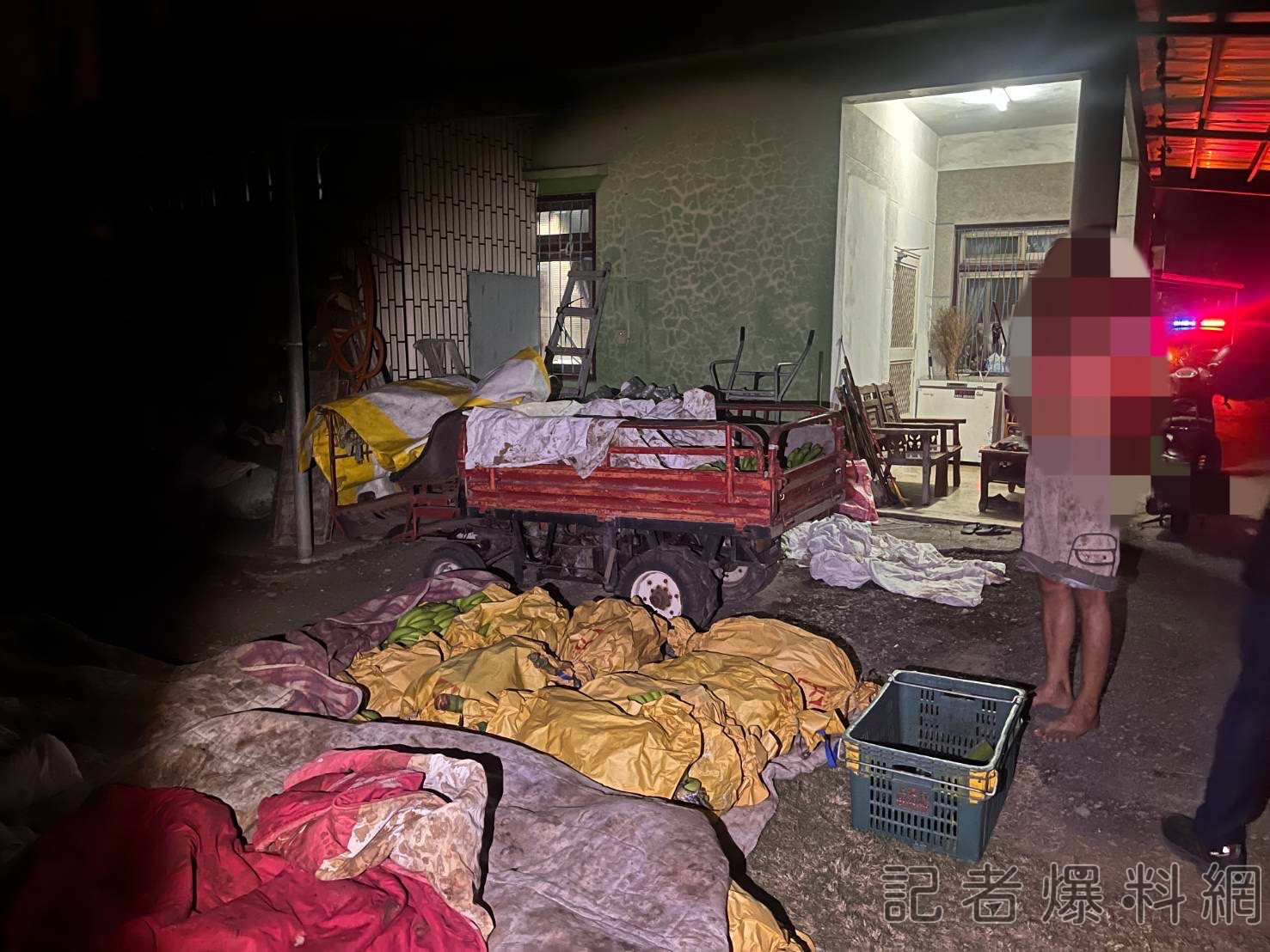 【有片】男偷割收成熟香蕉才半天就被逮了 起獲45簍香蕉市價約3萬