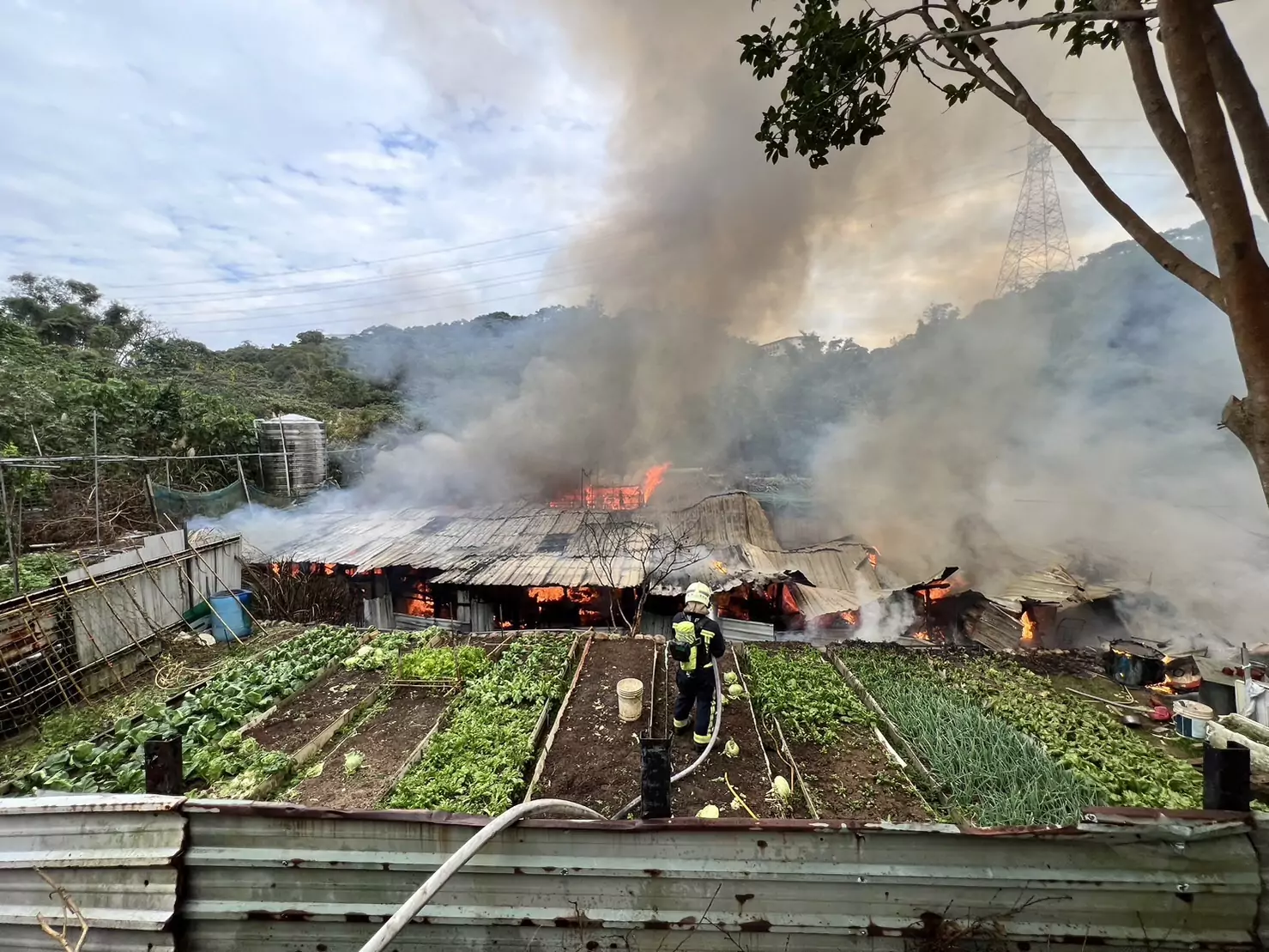 龜山工寮失火濃煙竄天 28名消防員急灌救 S 2973898