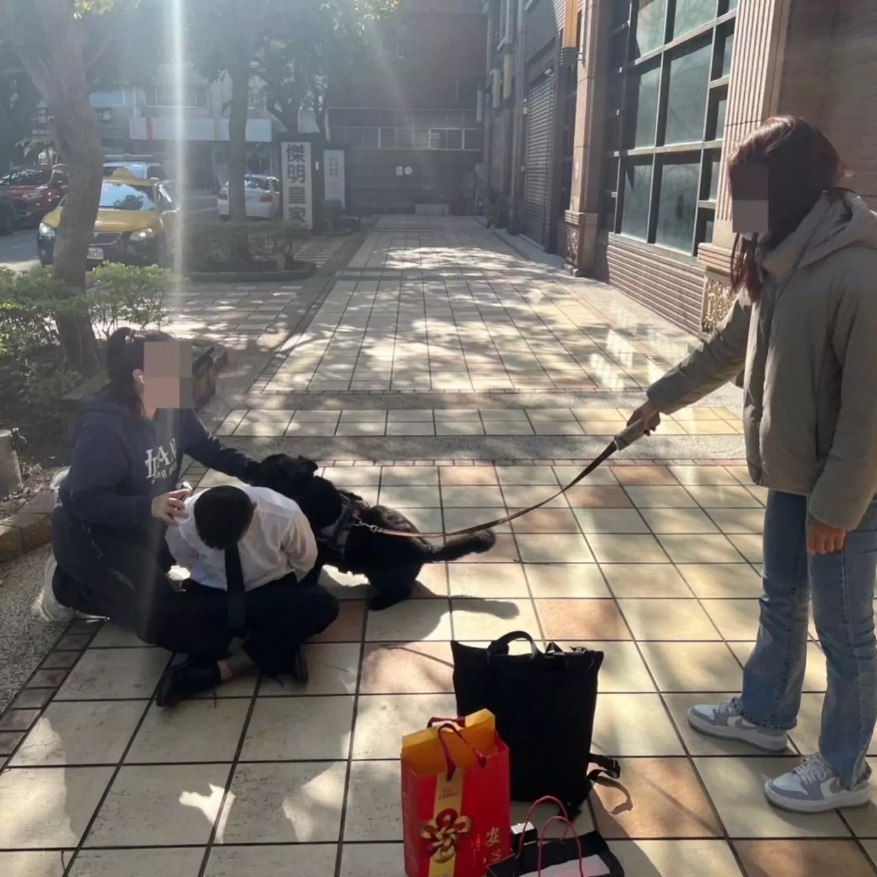 員警佯裝路人逮車手 所犬「妞妞」出任務神助攻 員警佯裝路人逮車手 所犬「妞妞」出任務神助攻