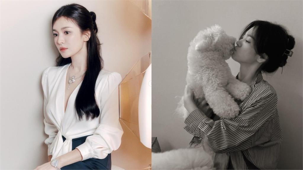 宋慧喬突PO尋狗啟事!罕動員「IG千萬粉絲」求助